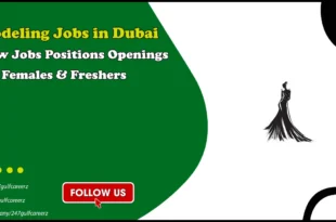 Modeling Jobs in Dubai