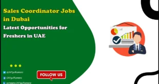 Sales Coordinator Jobs in Dubai