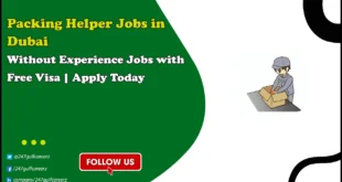 Packing Helper Jobs in Dubai