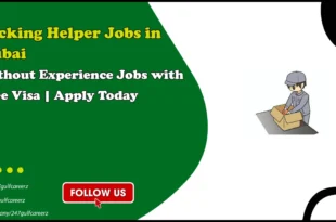 Packing Helper Jobs in Dubai