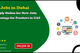 IT Jobs In Dubai